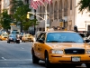 ny-day32009-103
