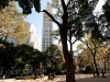 ny-day32009-179